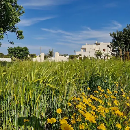 Residenza 